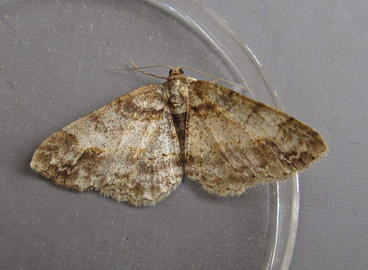Q%20110909.jpg